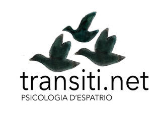 Logo Transiti